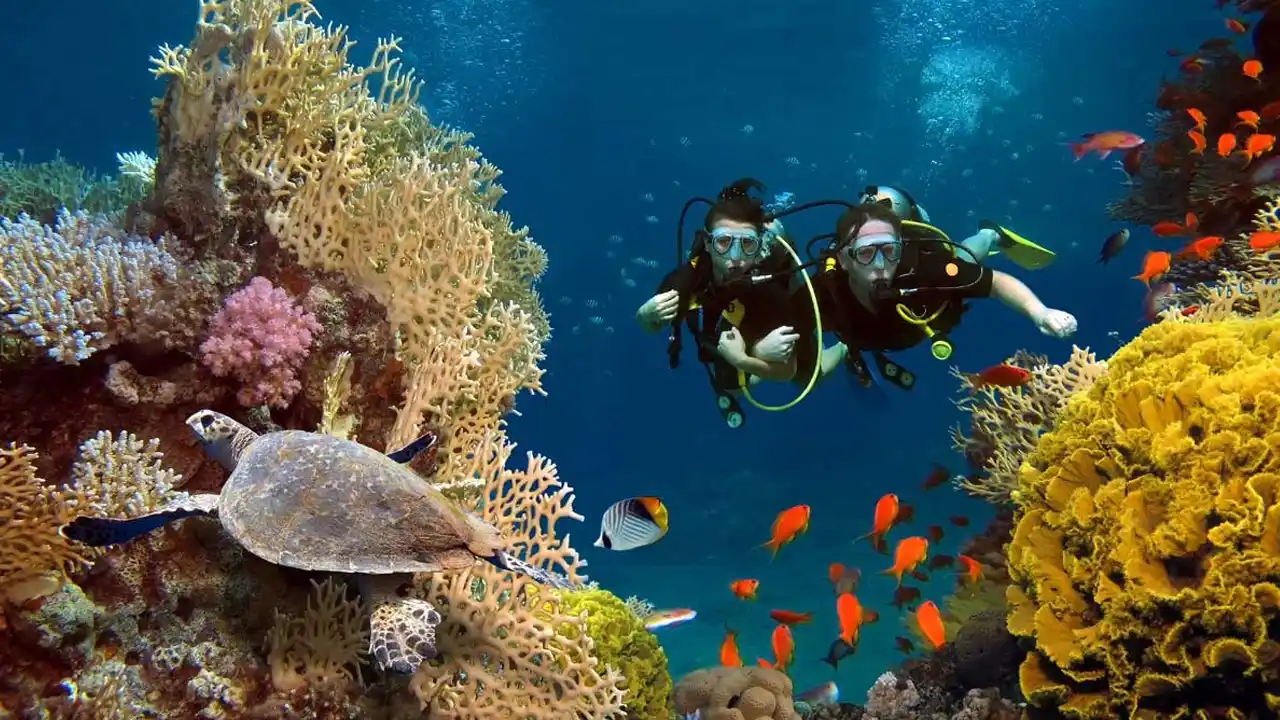 Dive into Adventure - Discovering the Underwater Wonders of Nusa Penida