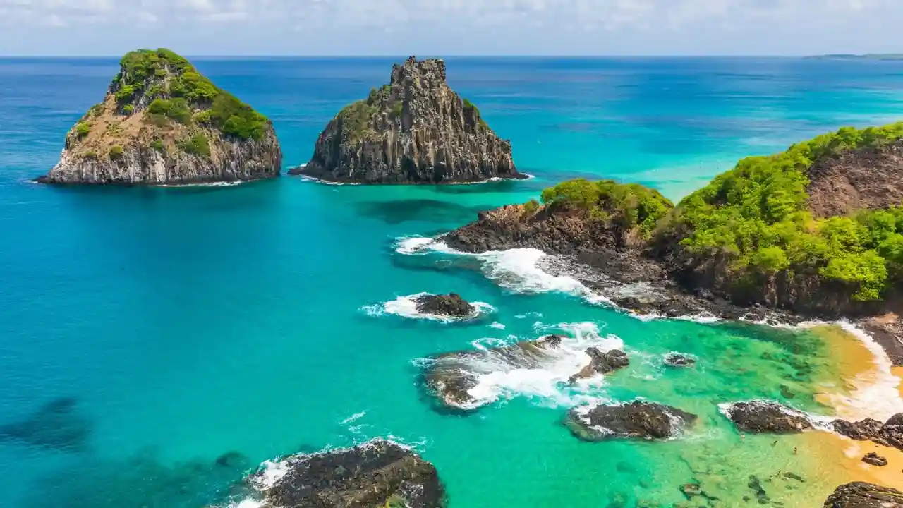 Discover Paradise - Dive with Spinner Dolphins in Fernando de Noronha