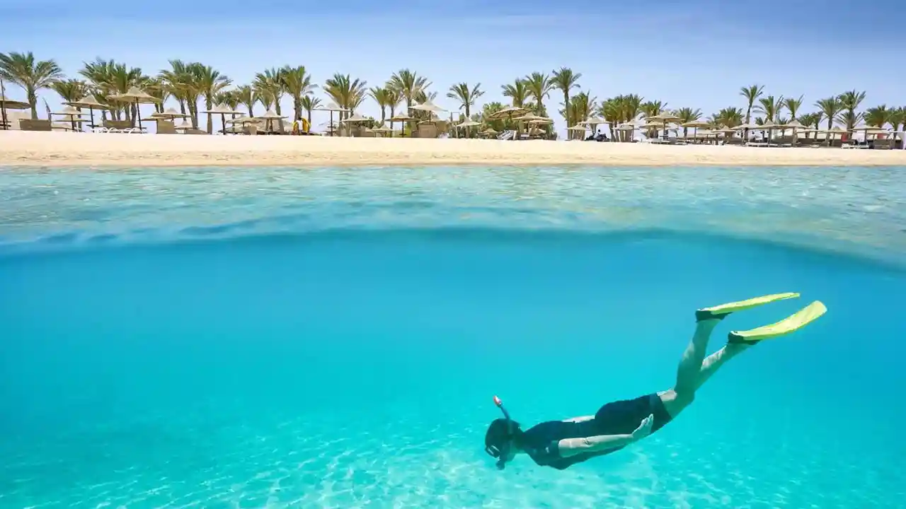 Dive into Paradise - Swim with Spinner Dolphins in Marsa Alam