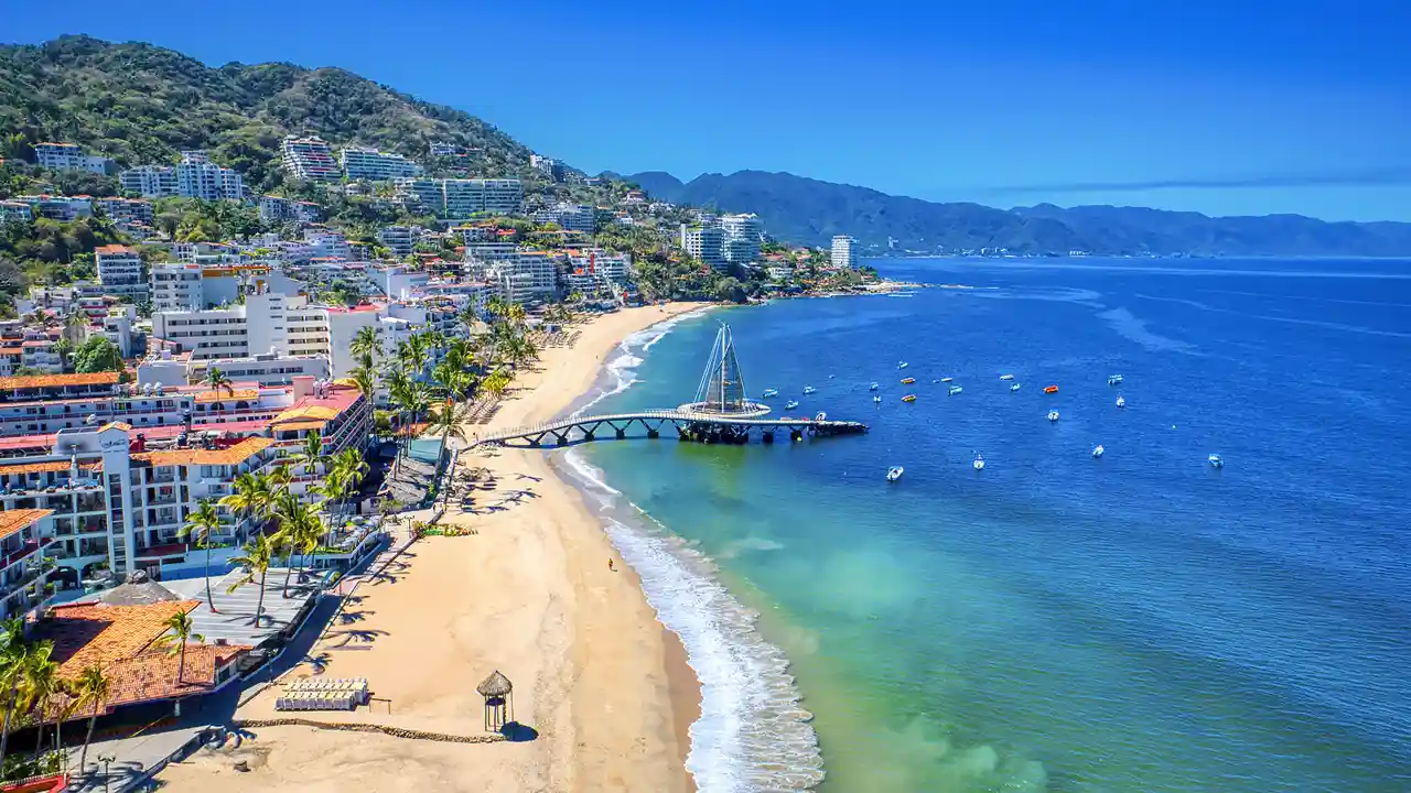 Experience Aquatic Bliss - Snorkel with Dolphins in Puerto Vallarta