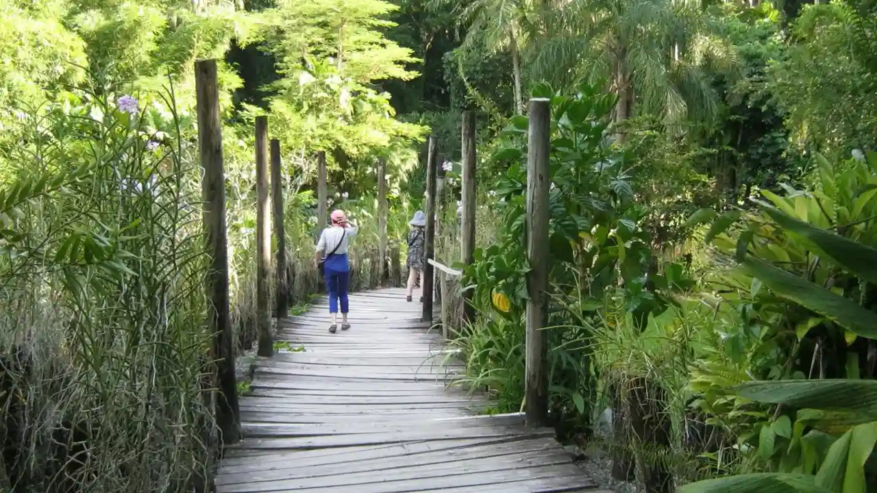 Whispers of Wonderland: Discovering the Enchantment of the Garden of the Sleeping Giant