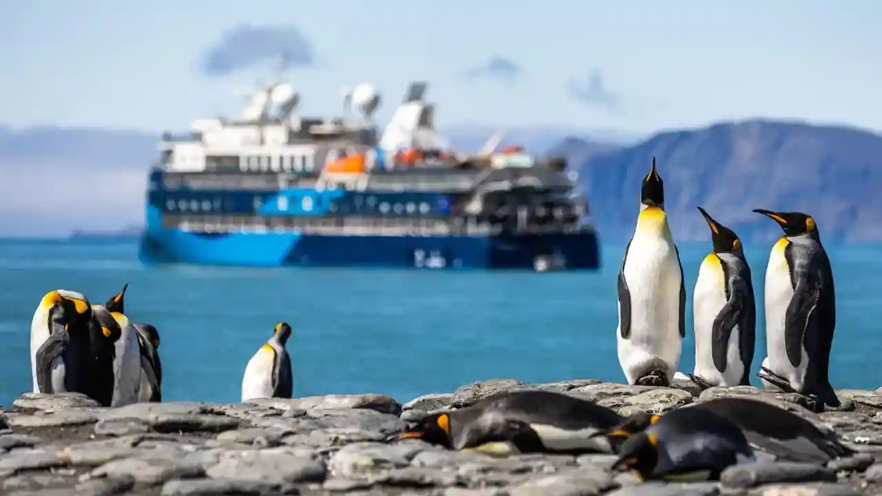 Polar Wonders - An Antarctic Adventure with Wildlife Cruises