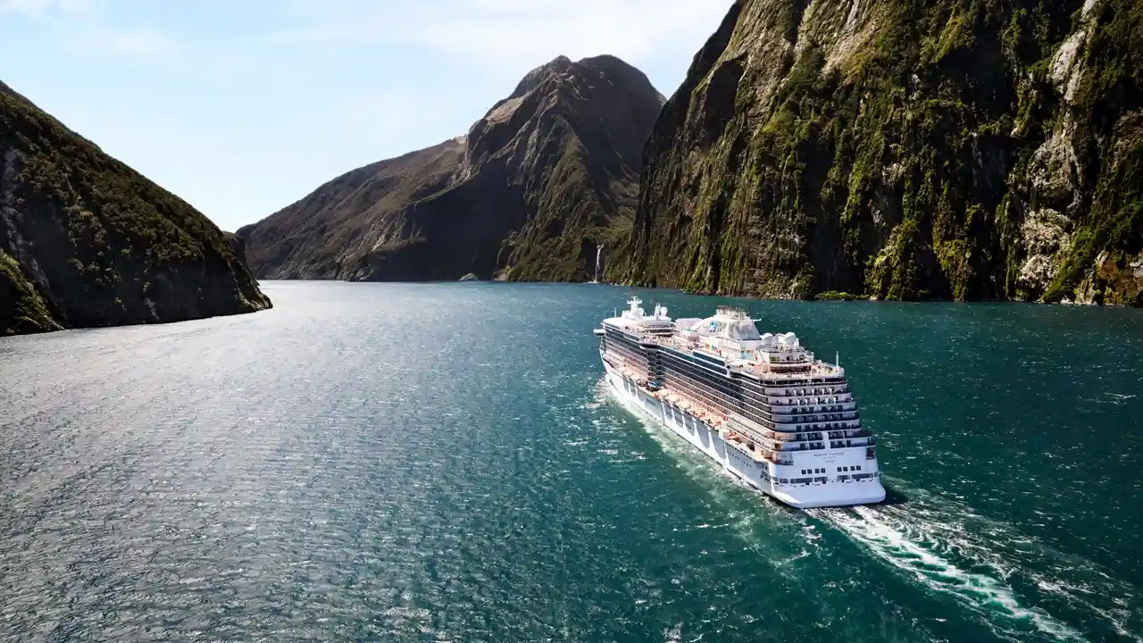 Mystical Voyages - Wildlife Cruises Along New Zealand’s Enchanted Shores